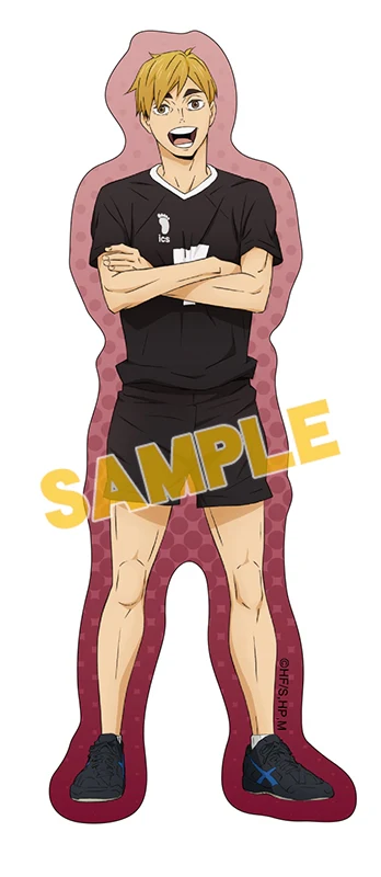 [Haikyu!!] Die-cut Sheet Collection (Blind Box -Single) - Image 2