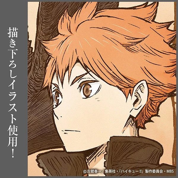 [Haikyu!!] Acrylic Art Board w/ Stands FLYING ver. Shoyo Hinata - Image 3