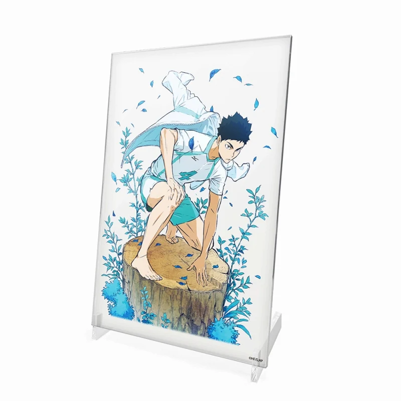 (Goods - Acrylic Stand) [Haikyu!!] Hajime Iwaizumi Acrylic Art Stand Ver. 1.0