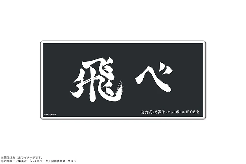 [Haikyu!!] Magnet Sheet Vol. 3 01 Karasuno High