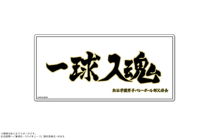 [Haikyu!!] Magnet Sheet Vol. 3 04 Fukurodani Academy