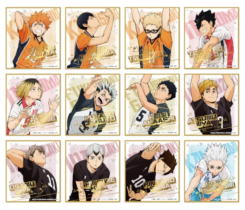 [Haikyu!!] Visual Art Board Collection 6 (Blind Box -Single)